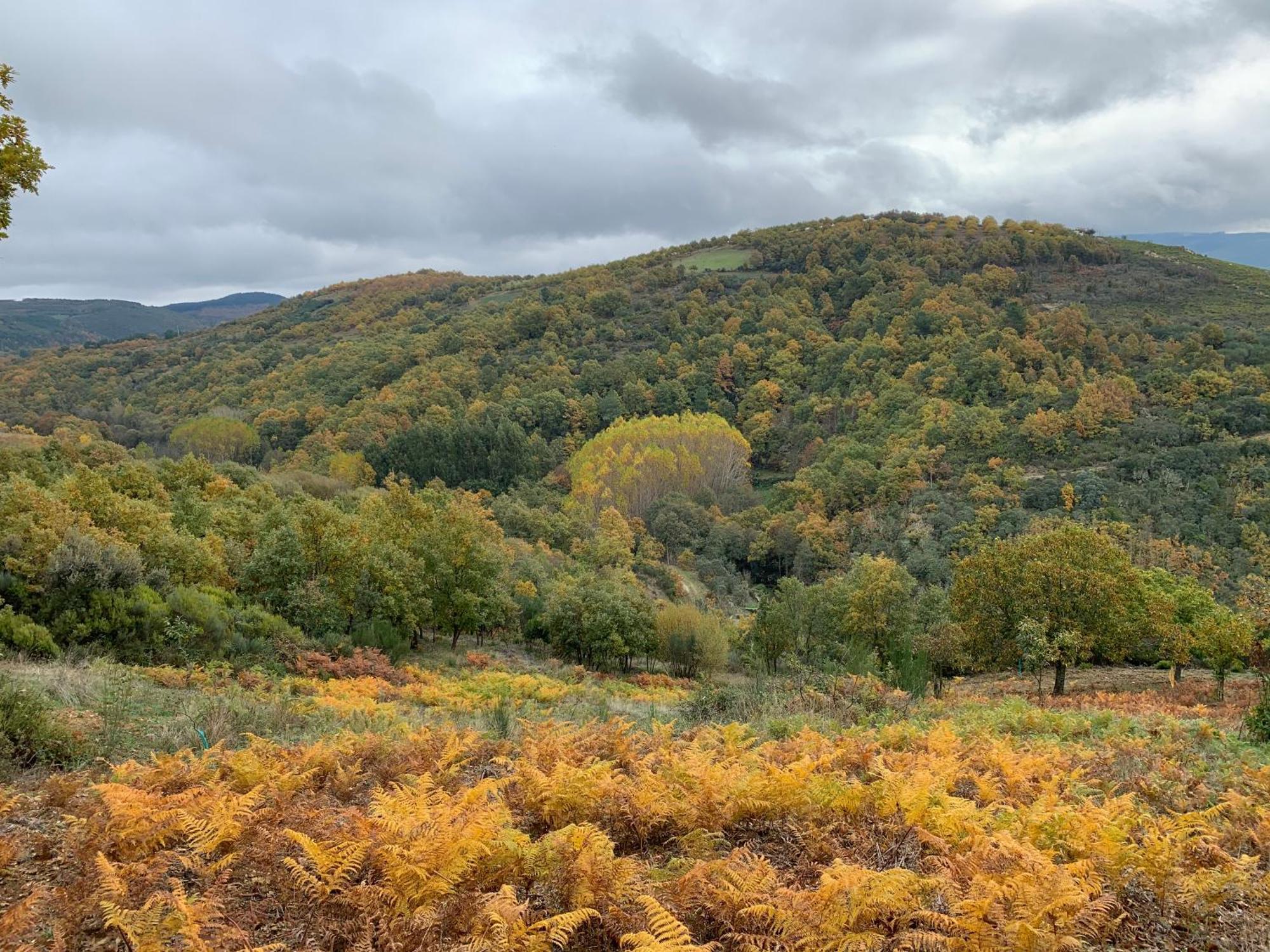 Casa Do Souto - Nature & Experiences - Turismo Rural Bragança Екстериор снимка
