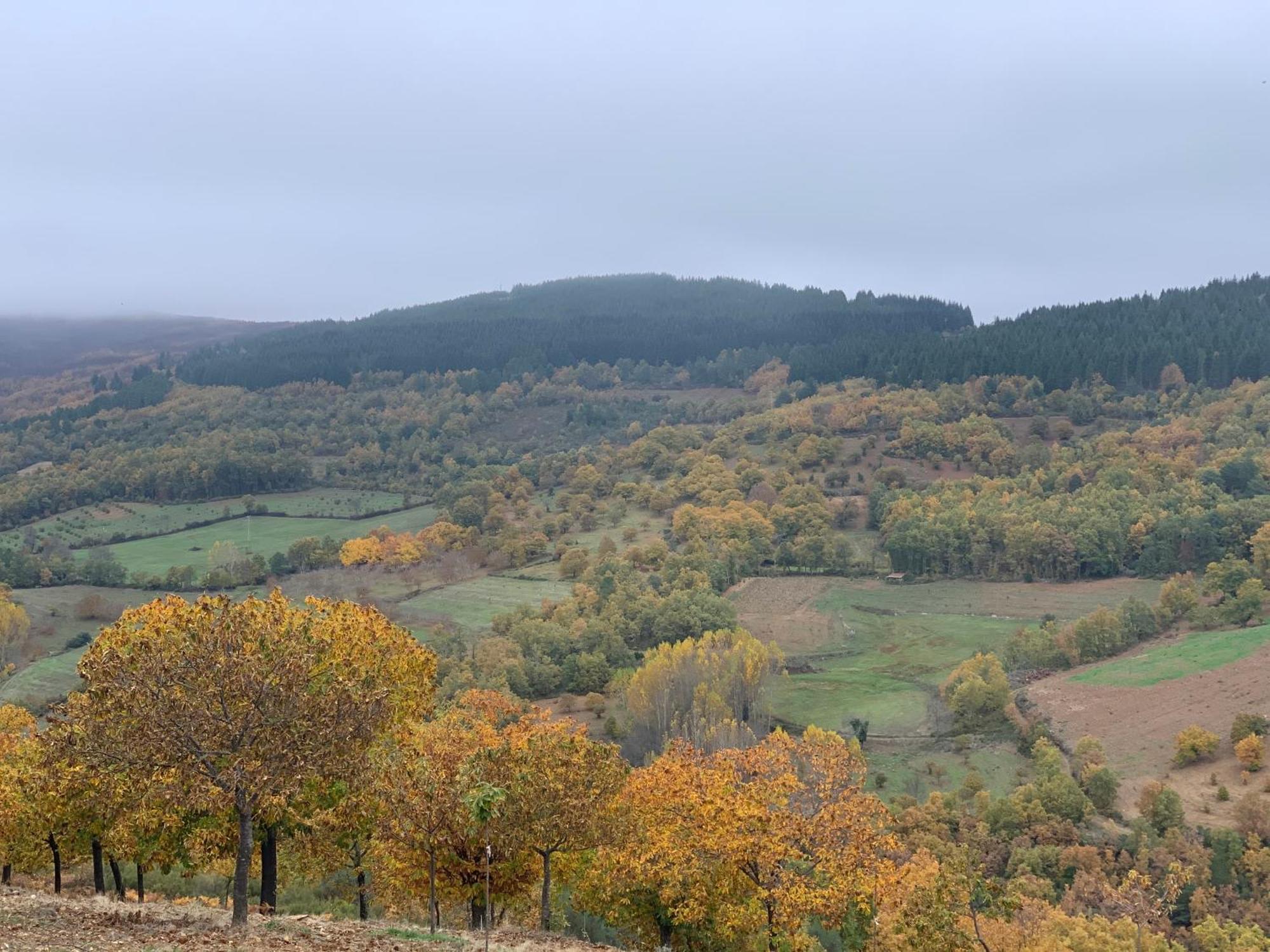 Casa Do Souto - Nature & Experiences - Turismo Rural Bragança Екстериор снимка